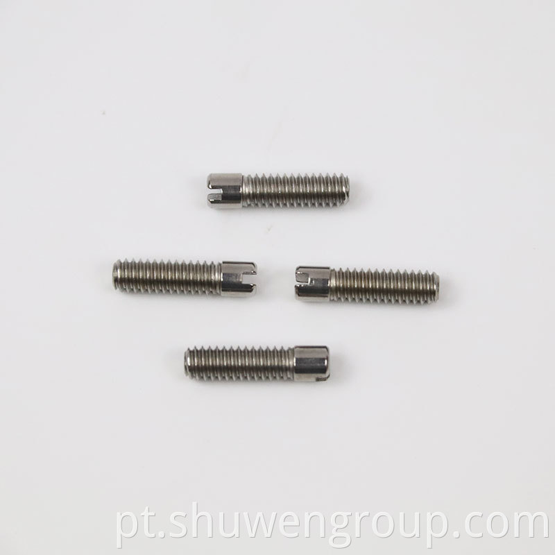 Stainless Steel Slotted Recessed Machine Screws